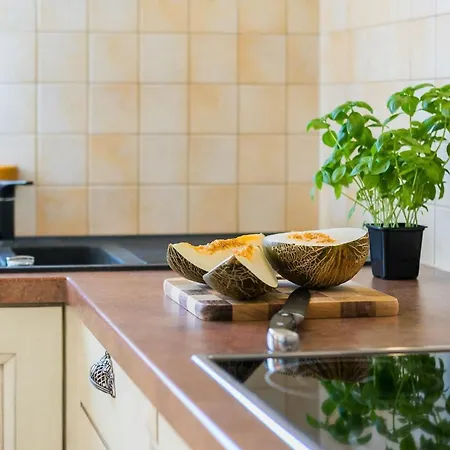 Przytulny Apartament W Zielonej Okolicy Z Widokiem Na Gory By Noclegi Renters Daire *